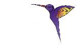 i Live Services GmbH
